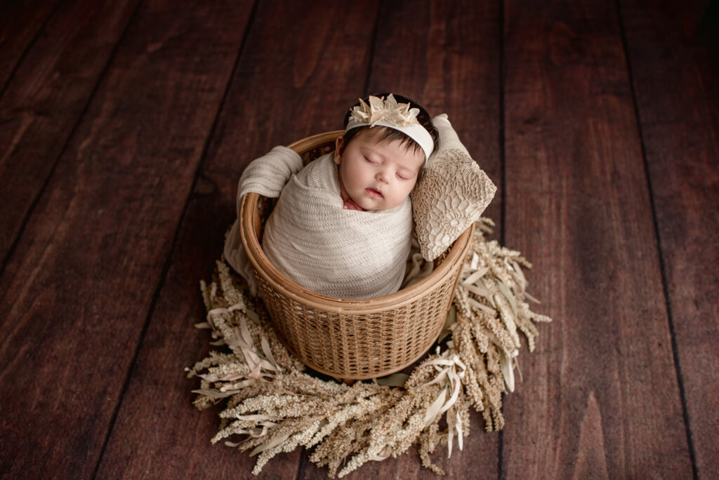 newborn in a basket 
